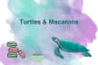 Turtles’s Substack
