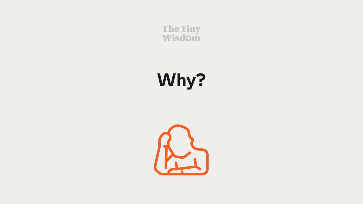 Why? - by Brian • The Tiny Wisdom - The Tiny Wisdom