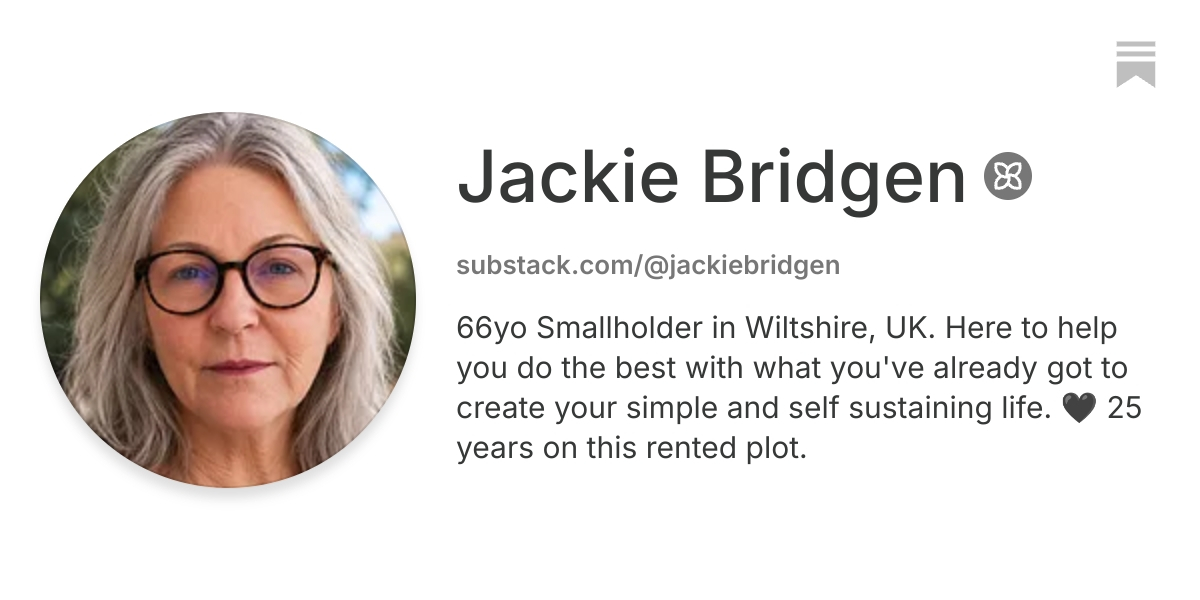 Jackie Bridgen | Substack