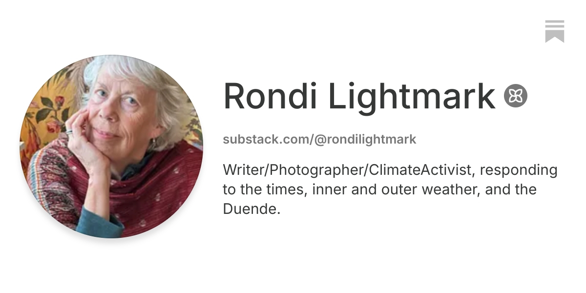 Rondi Lightmark | Substack