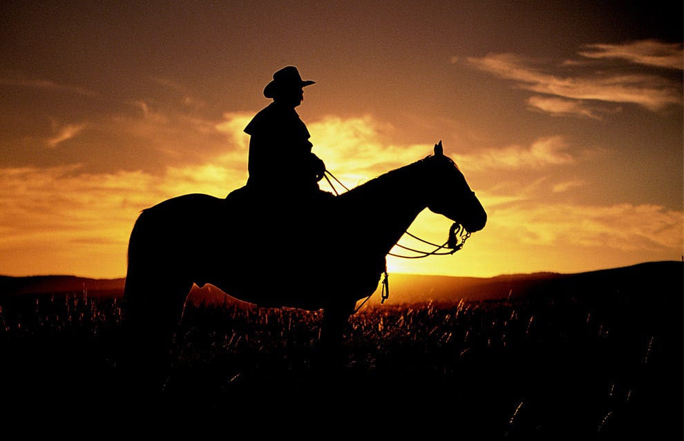 Into the Sunset