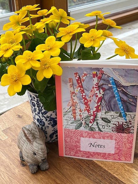 images of notebooks