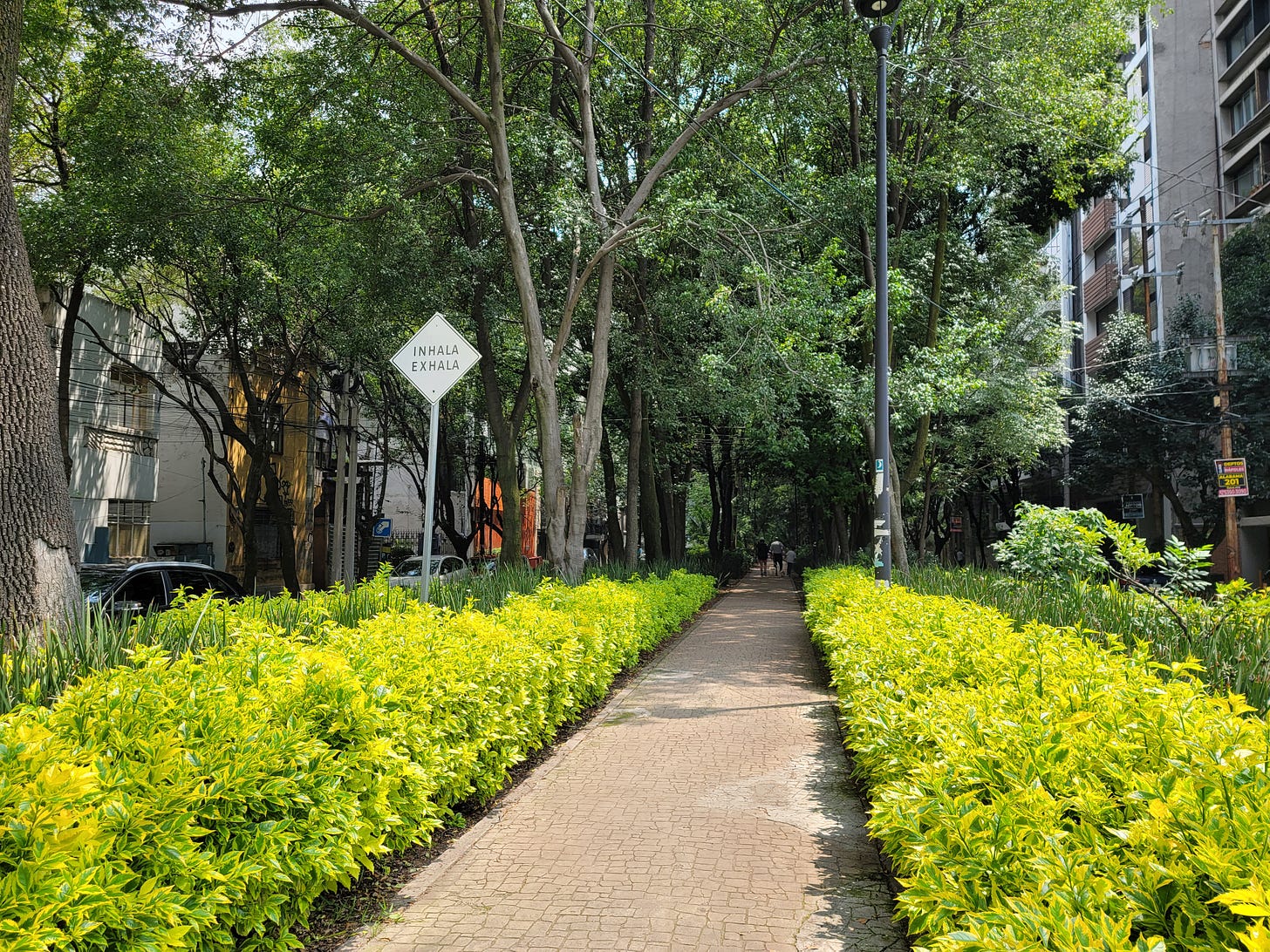 Sidewalk with greenery on both sides