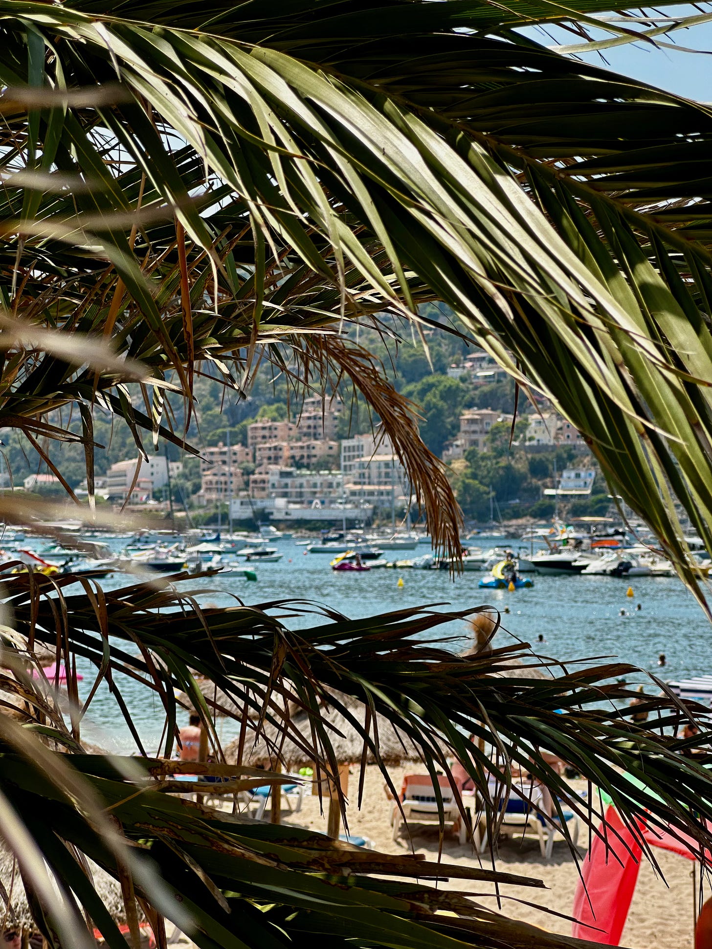 Sóller: Mallorca’s Hidden Gem Sóller: Mallorca’s Hidden Gem