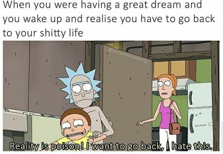 When you were having a great dream and you wake up and realise you have to  go back to your shitty life - iFunny