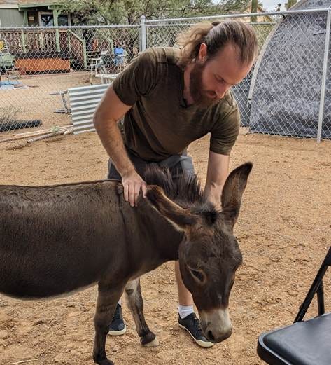 A person petting a donkey

AI-generated content may be incorrect.