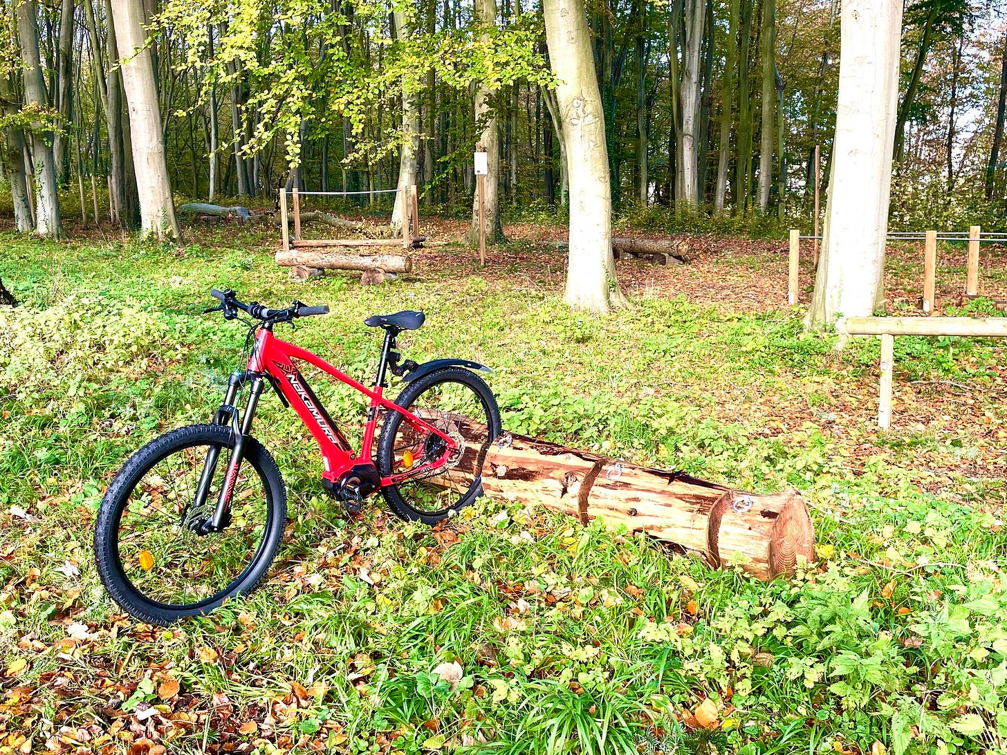 VTT rouge accroche dans un tronc d'arbre decoupe au sol