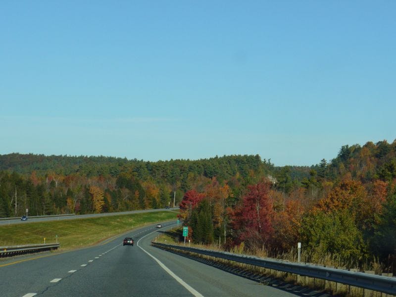 an interstate surrounded by lush trees and no billboards an interstate surrounded by lush trees and no billboards