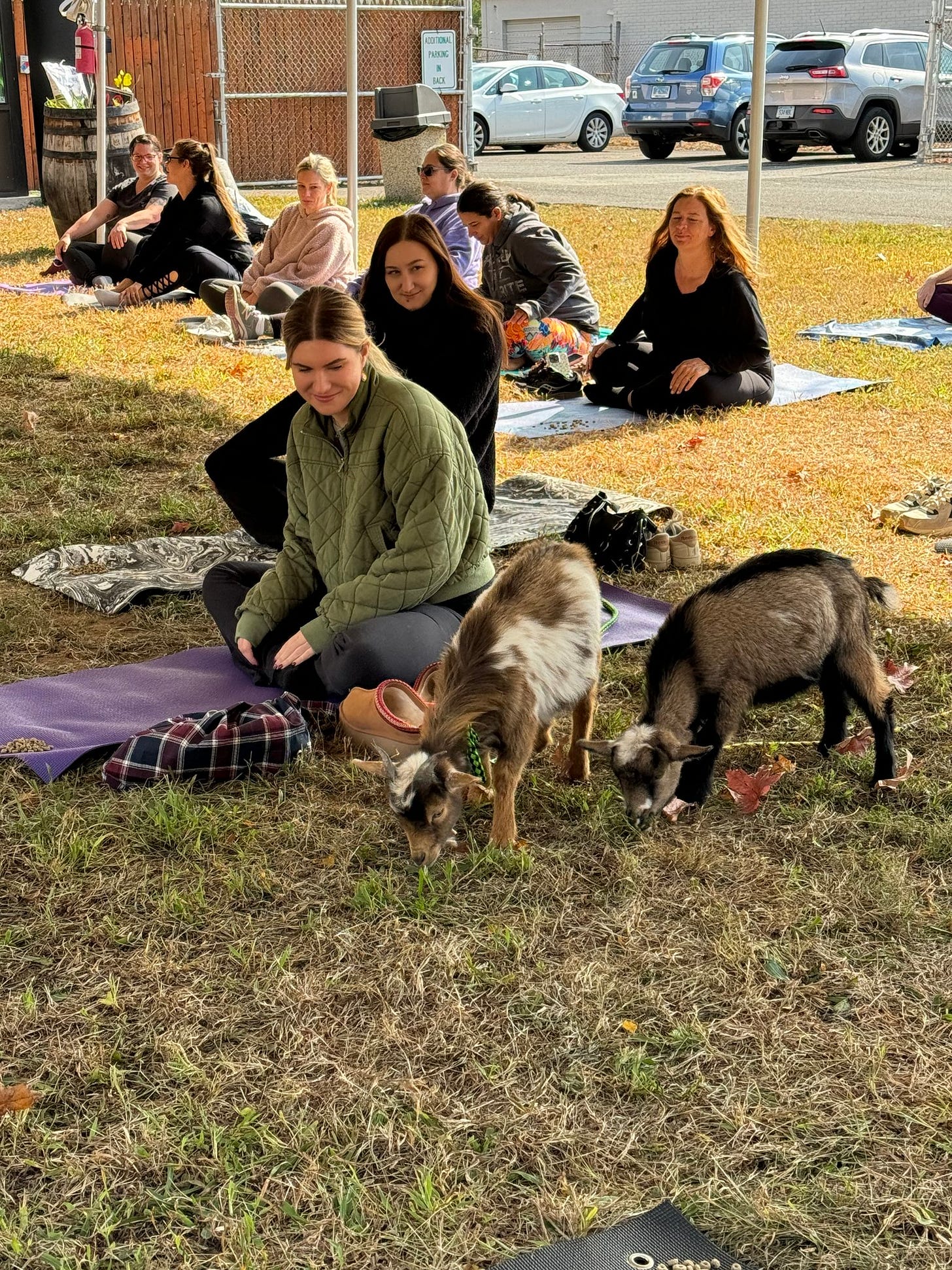 May be an image of 6 people