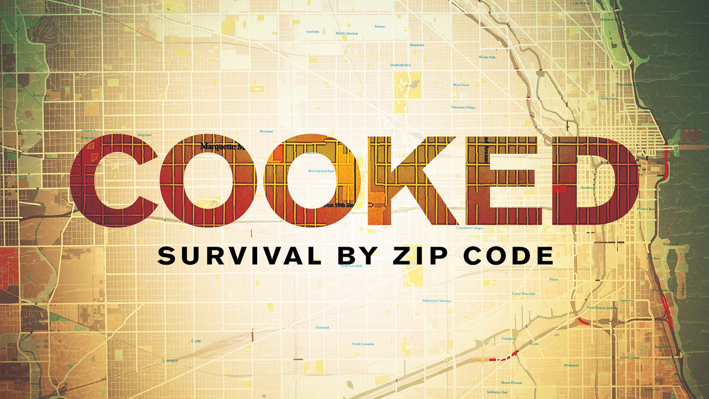 Cooked: Survival by Zip Code