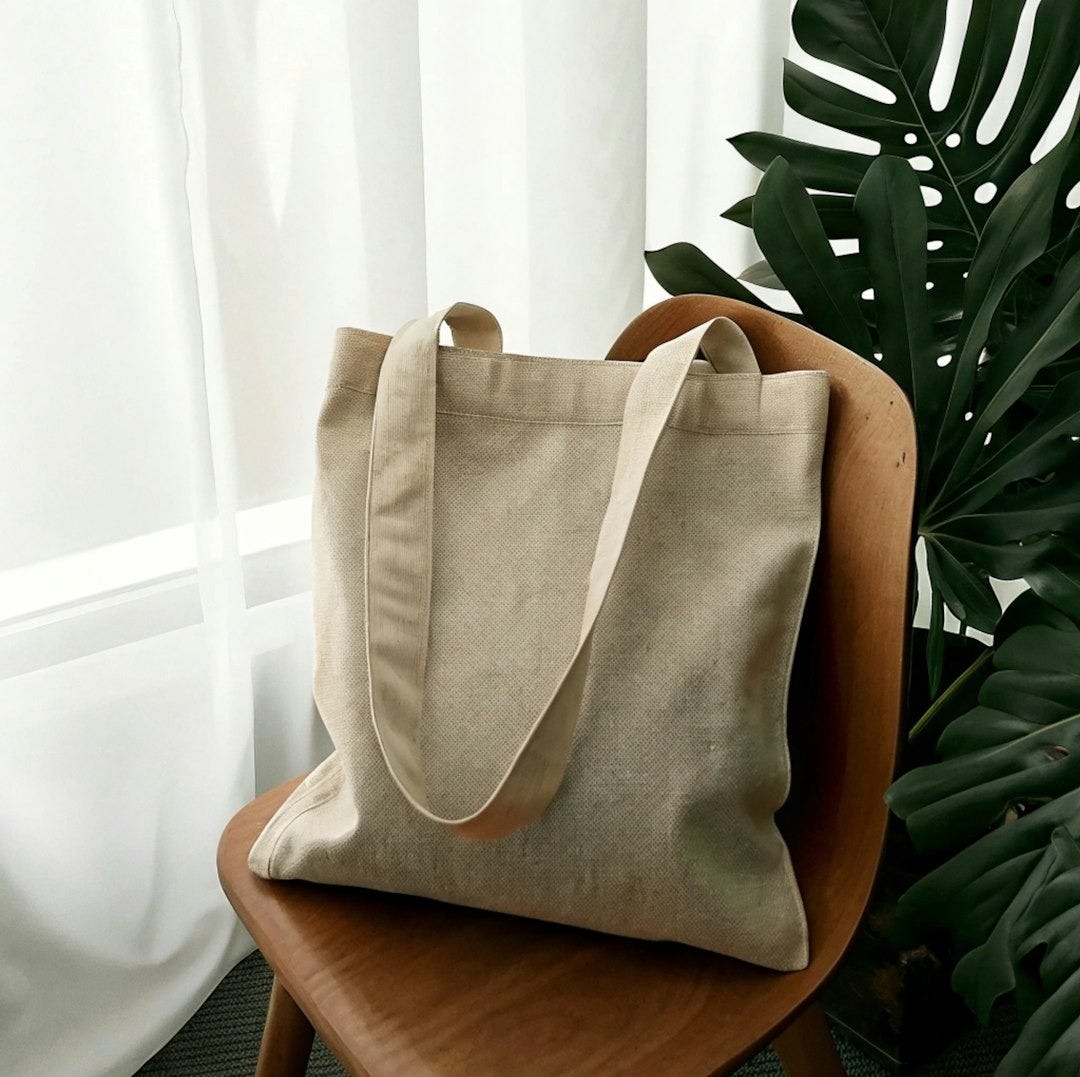 A bag sitting on top of a chair next to a plant A bag sitting on top of a chair next to a plant