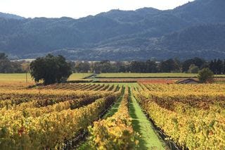 A - Napa Valley @ 700 dpi 10 A - Napa Valley @ 700 dpi 10