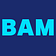 Blue Amp Media