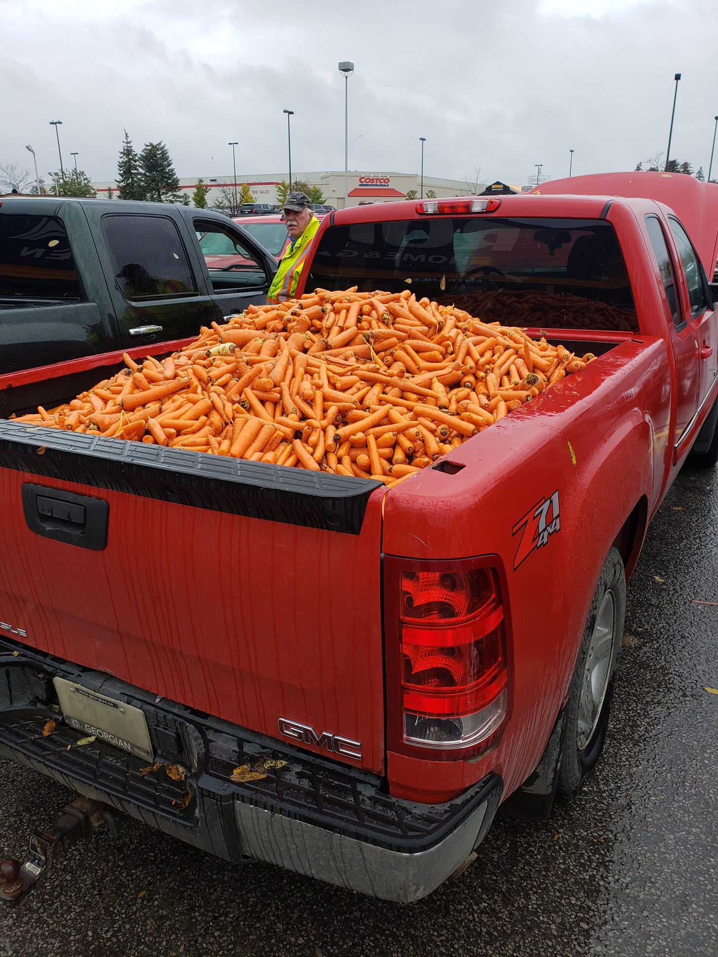 This truck bed full of carrots i found today. : r/mildlyinteresting