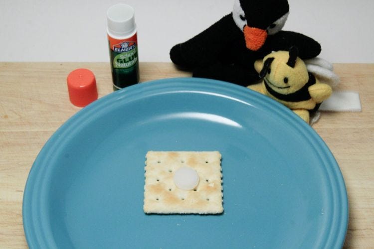 Glue Stick Taste Test Elmers Naturals Glue Stick Taste Test Elmers Naturals