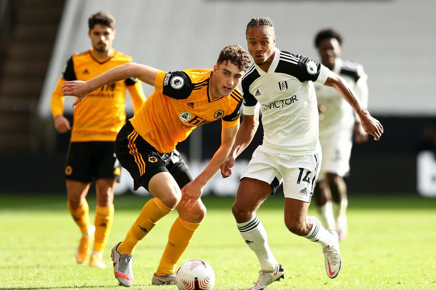 5 things you may not know about Wolves defender Max Kilman | Chard &amp;amp;  Ilminster News