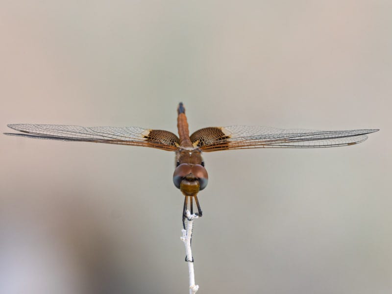 20260828-ElRio-184-Edit.jpg