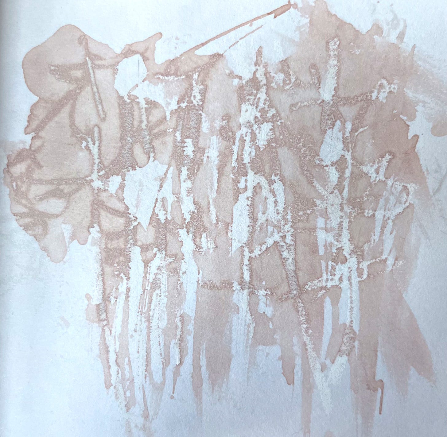Oil pastel and ink representation of silver birch trees by Michela Griffith