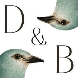 Death & Birds logo