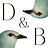 Death & Birds