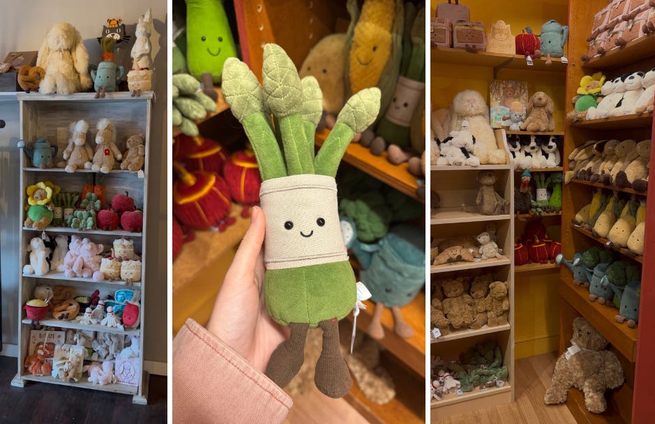 charlotteledger.substack.com - The Gen Z 'Beanie Baby' hits Charlotte