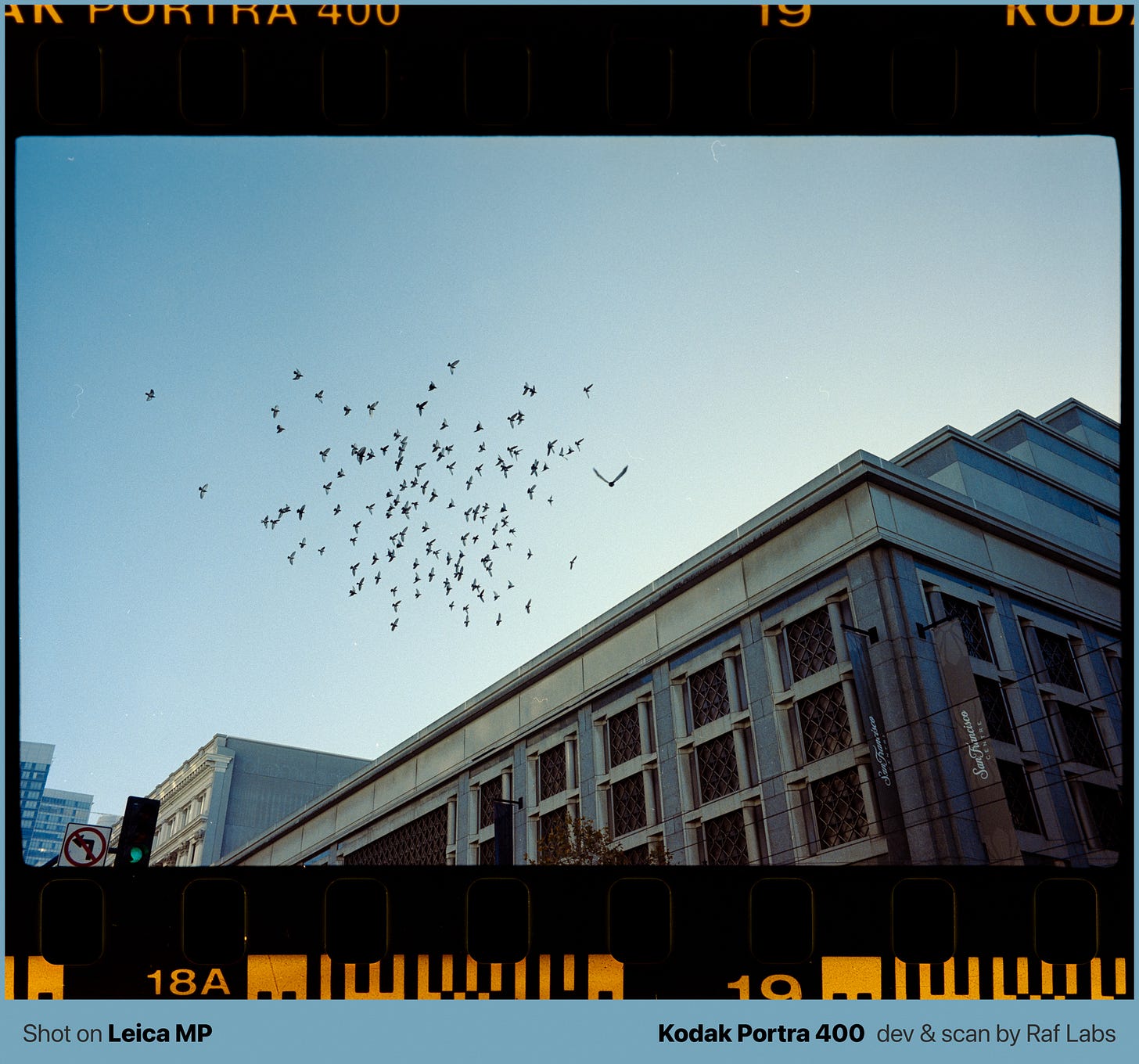 Flock of birds flying over San Francisco building rooftop against pale blue sky, captured on 35mm film