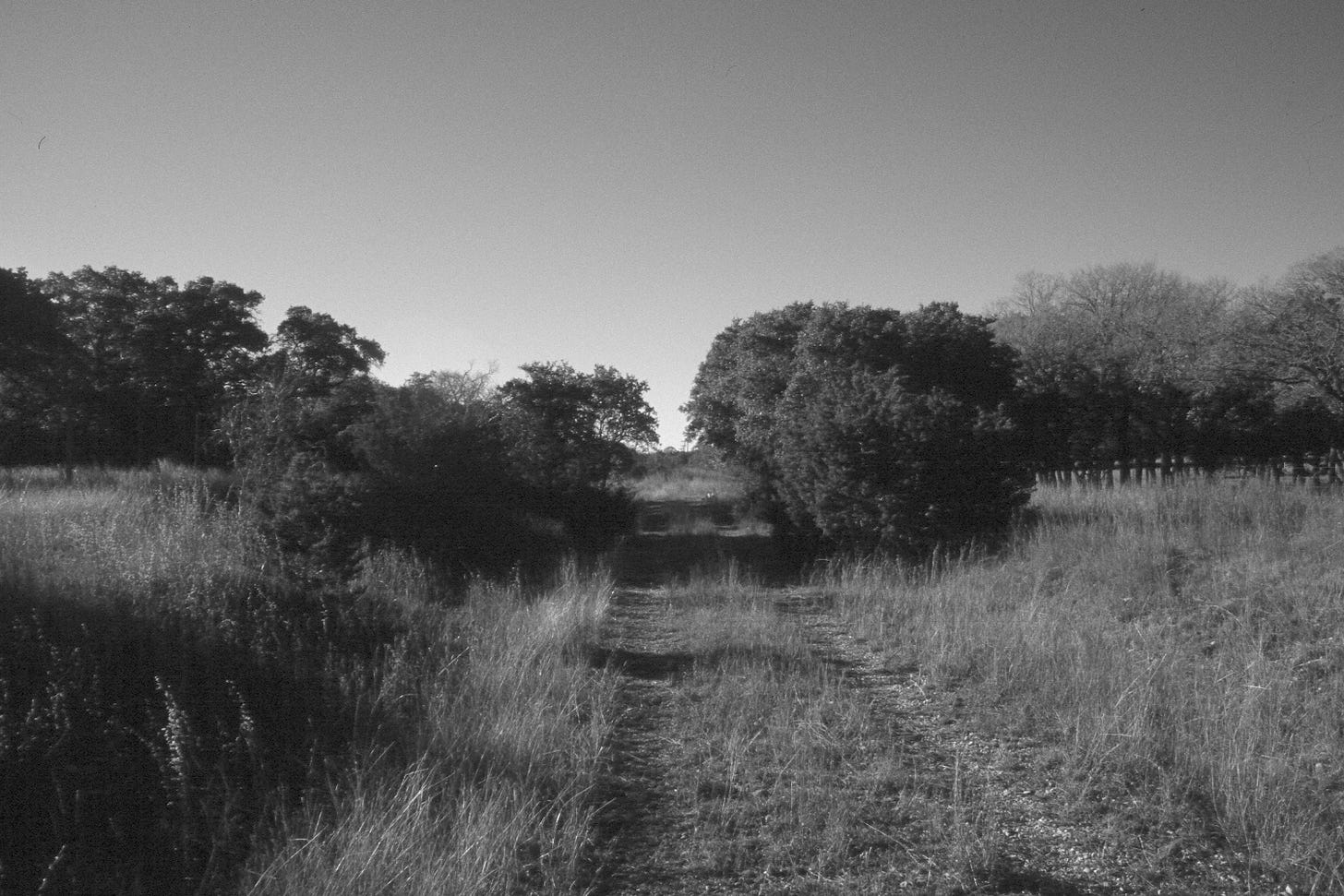 A dirt road through a field

AI-generated content may be incorrect.