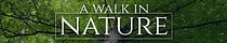 A Walk in Nature