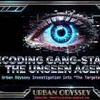 The Phenomenology of Gang Stalking: A Content Analysis of Subjective Experiences