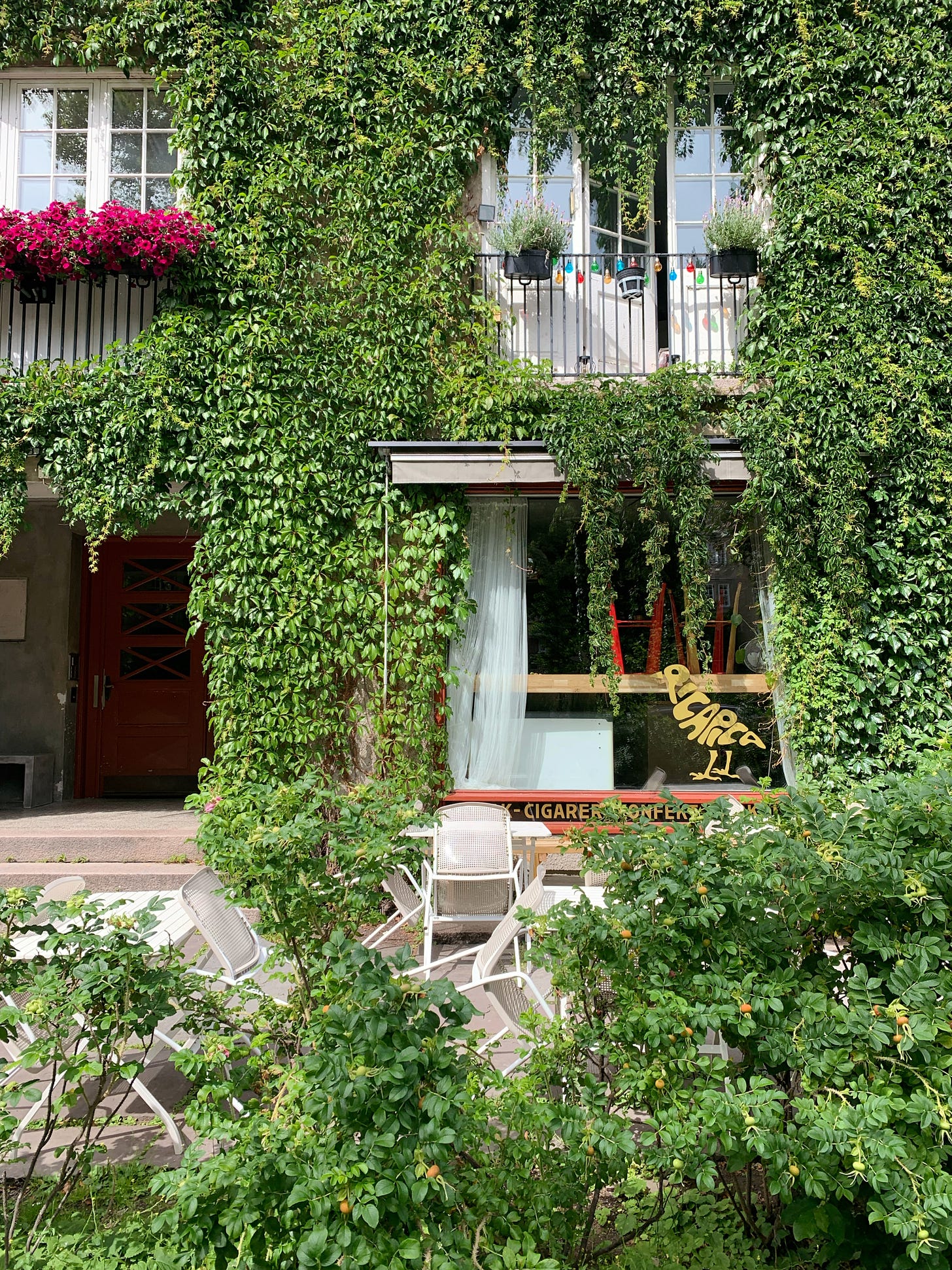Coffee shop storefront, with ivy grown all over the building