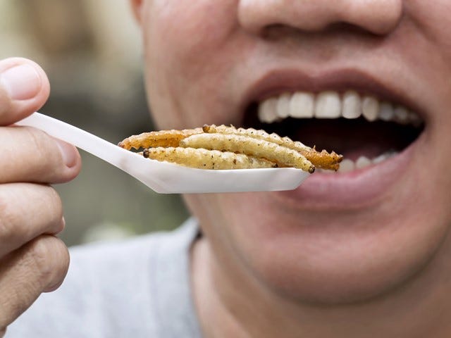 3D-printing method for food could make insect protein mainstream | E+T  Magazine