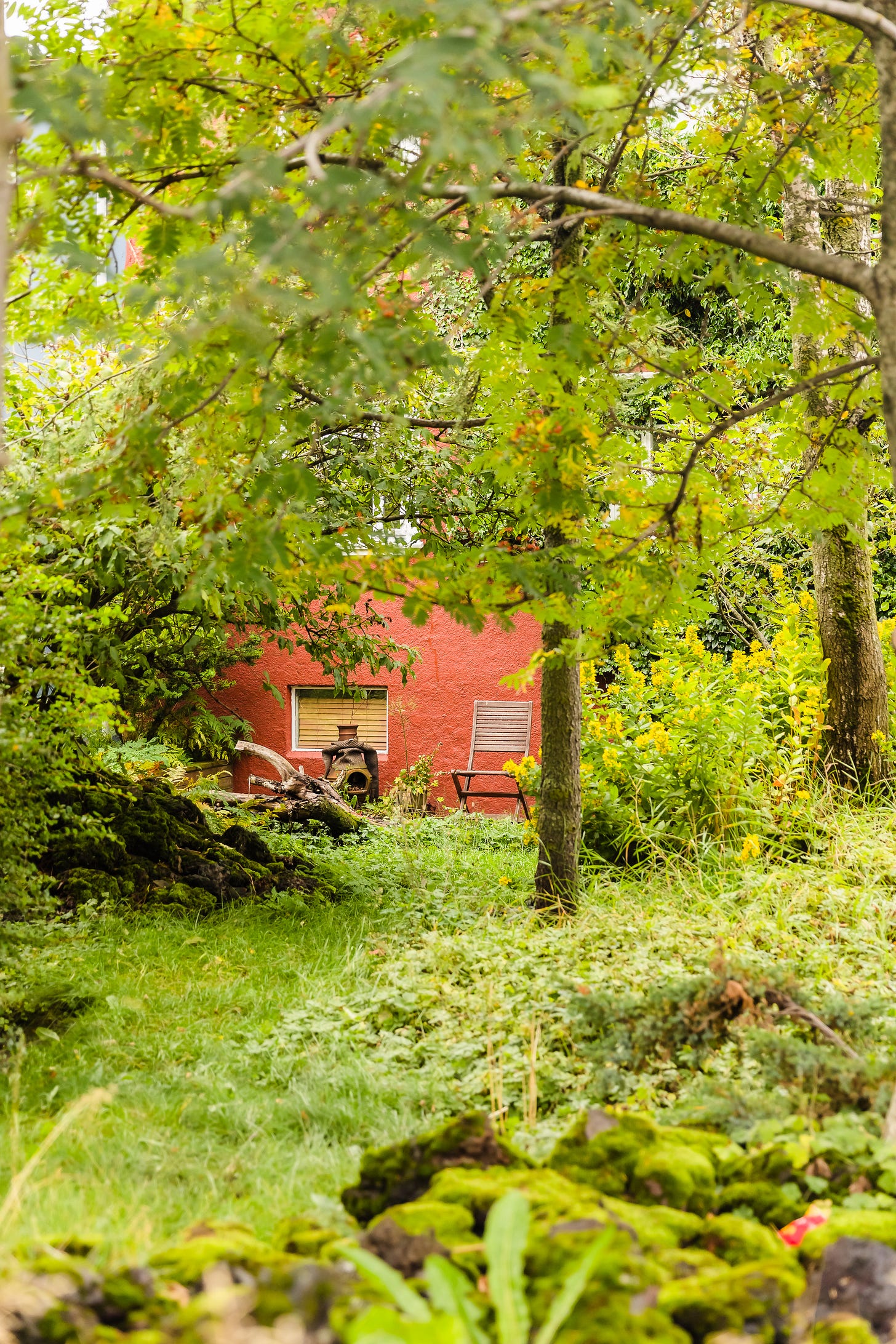 Photo of a wooden folding chair next to a stone firepit, outdoors, with a red building wall behind them, Shrouded in lush tree foliage above and in front of them.