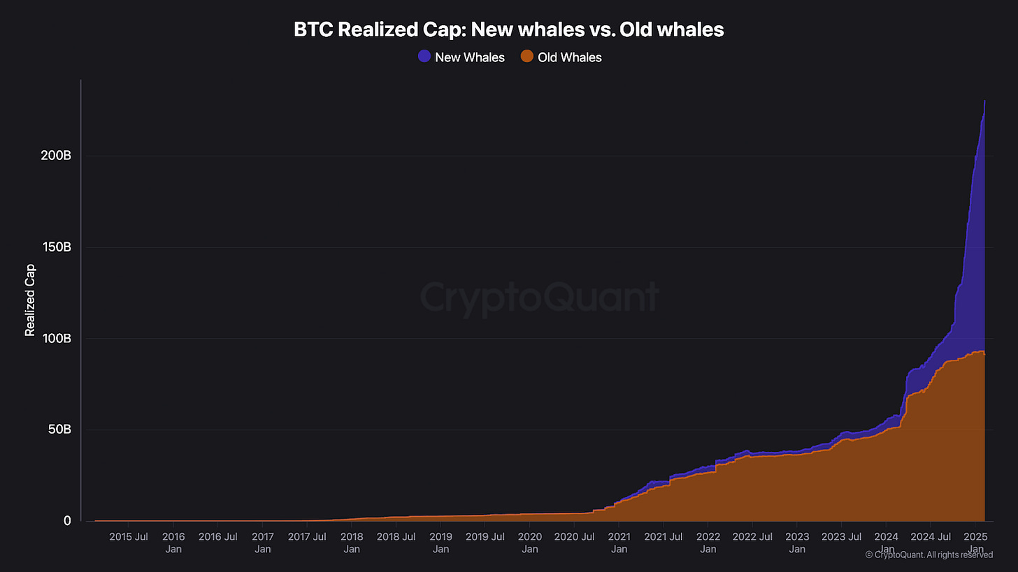 Bitcoin vs. Altcoins em 2025 - Bipa Insights