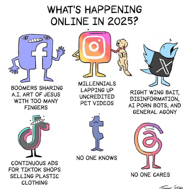 charge em cartum. Traduzida: "O que está acontecendo online em 2024? Facebook: boomers compartilhando arte de IA de Jesus com dedos demais. Instagra: Millennials trocando vídeos de pet sem crédito. X/Twitter: Desinformação de edireita, bots de IA pornô, agonia geral. TikTok: propagandas contínuas para o tiktok shop vendendo roupas de plástico. Tumblr: ninguém sabe. Threads: Ninguém se importa