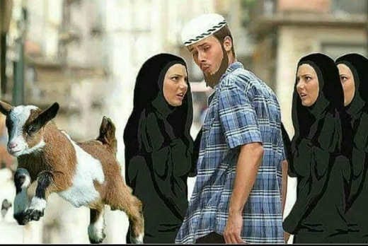 muslim-turned-on-by-goat-ignoring-girls-in-burqas