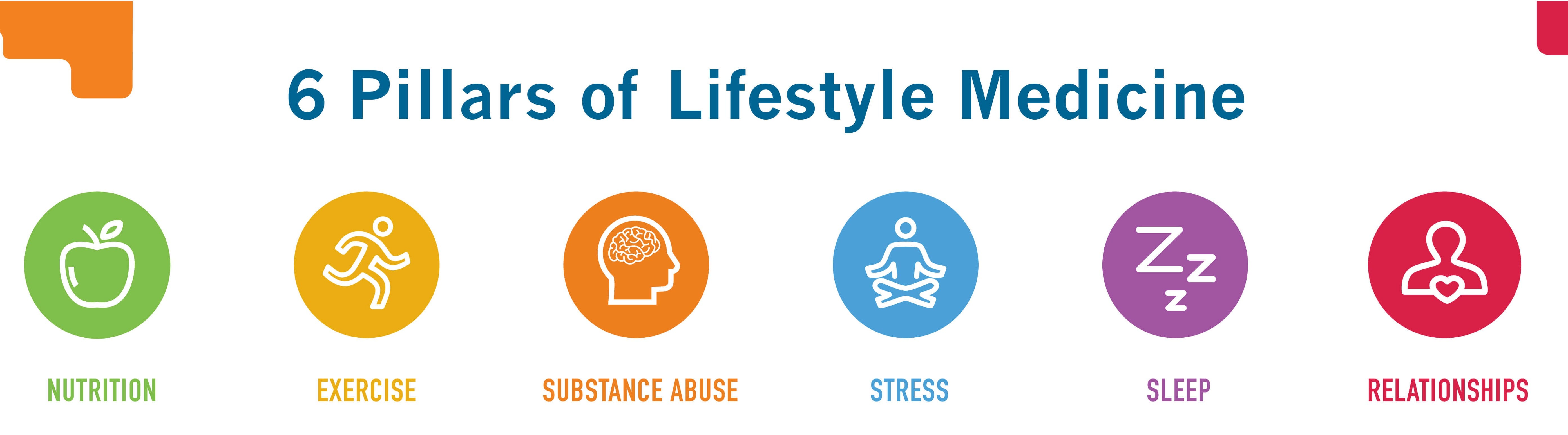 Addressing the Pillars of Health - by Ellen Brown