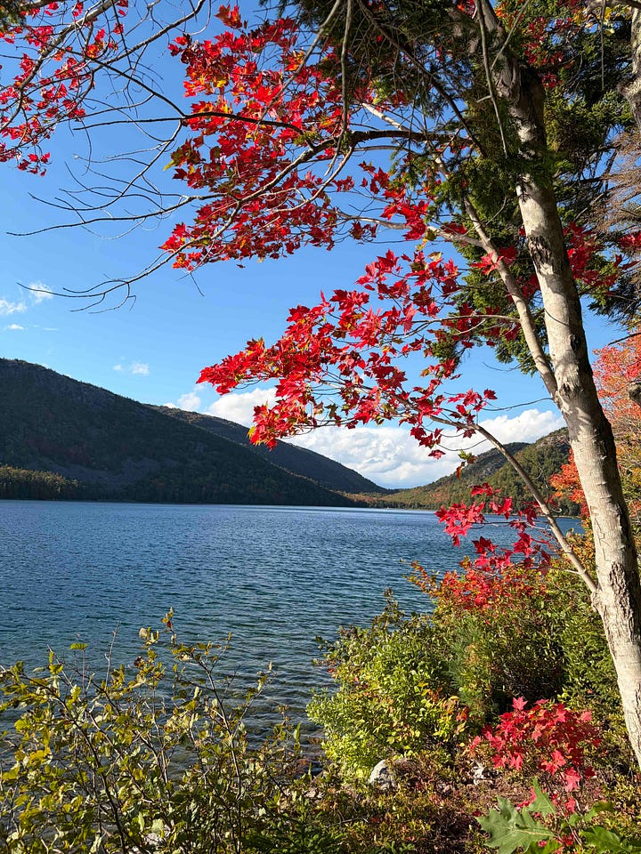 views of Frenchman's Bay, the retreat group at Jordan Pond, the retreat group ready to kayak, and view through the trees of Jordan Pond