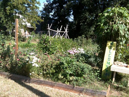 Diverse families--African American, Burmese. Latina, and white--in a Charlottesville, VA, community garden.