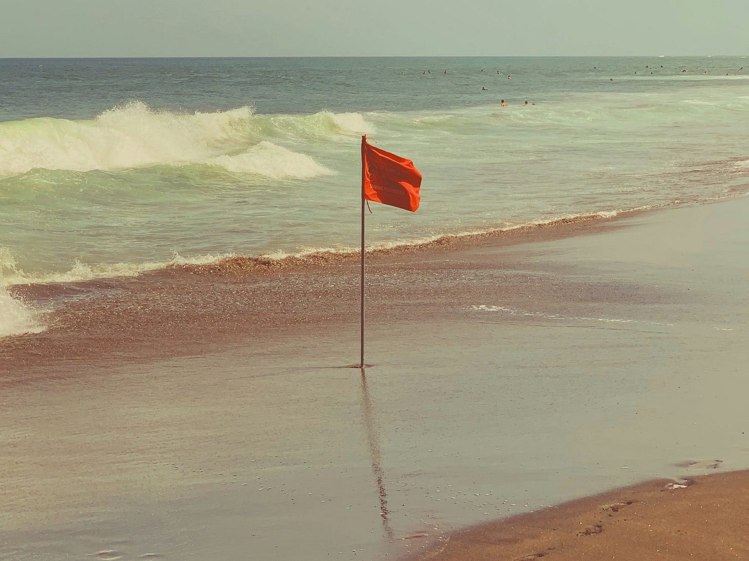 Red Flags in a Company