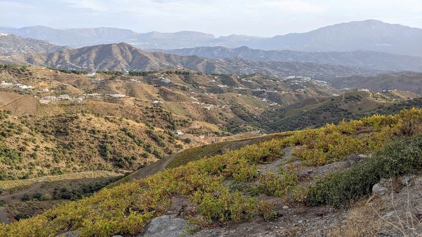 A landscape of a valley with hills and trees

AI-generated content may be incorrect.