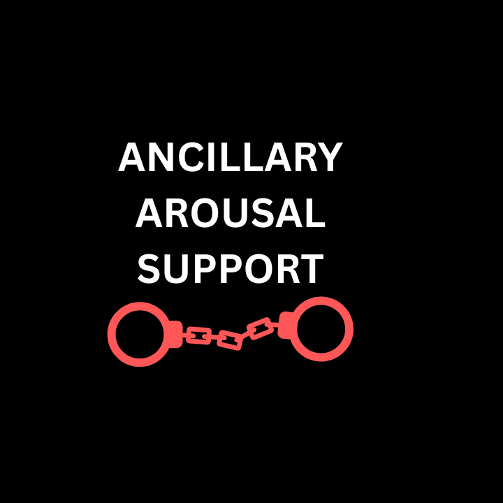 Ancillary BDSM Support
