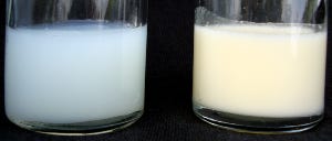 •Không phải là có “2 loại sữa”. Bất chấp niềm tin rất phổ biến này, không hề có cái gọi là “thời điểm diệu kì” khi Sữa trước biến thành Sữa sau. 