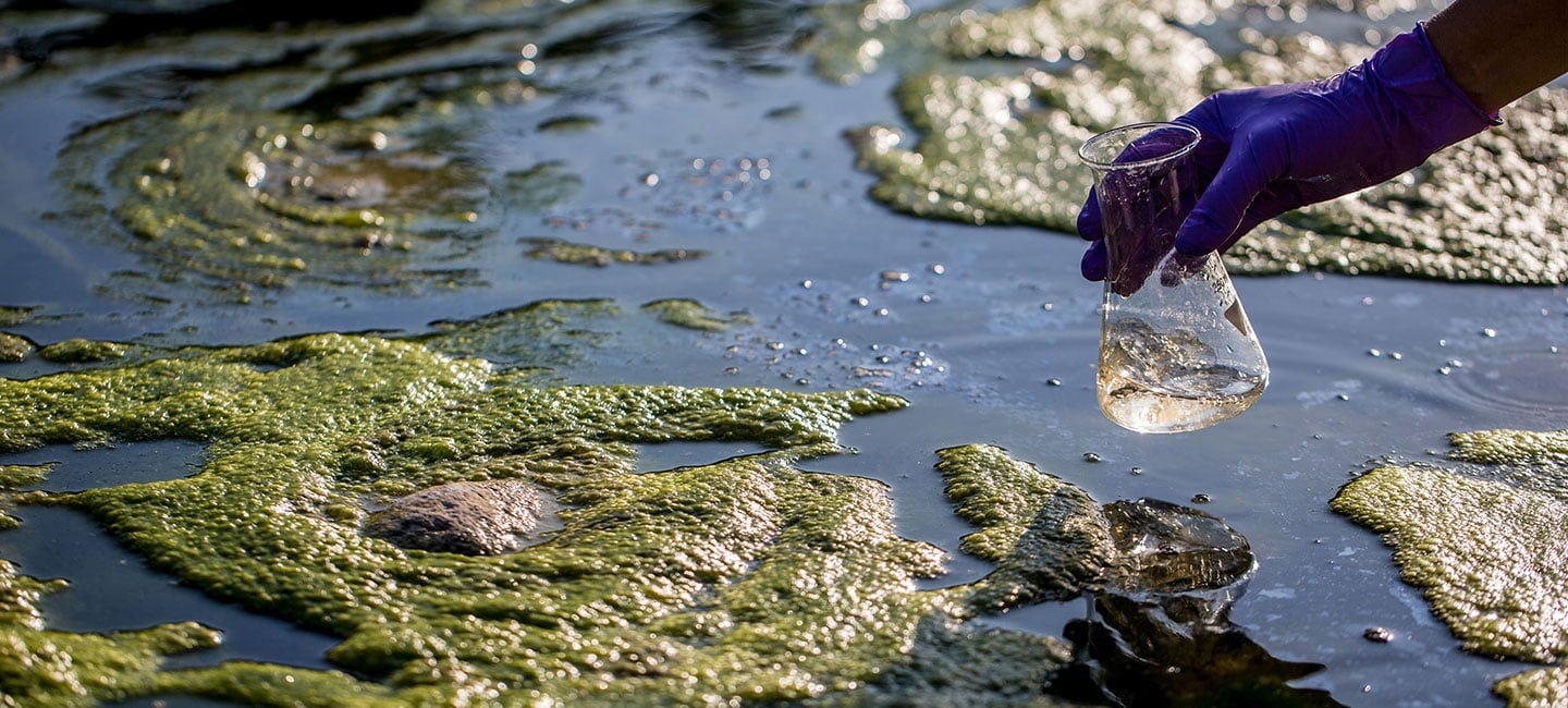 What Are Forever Chemicals? | Moffitt