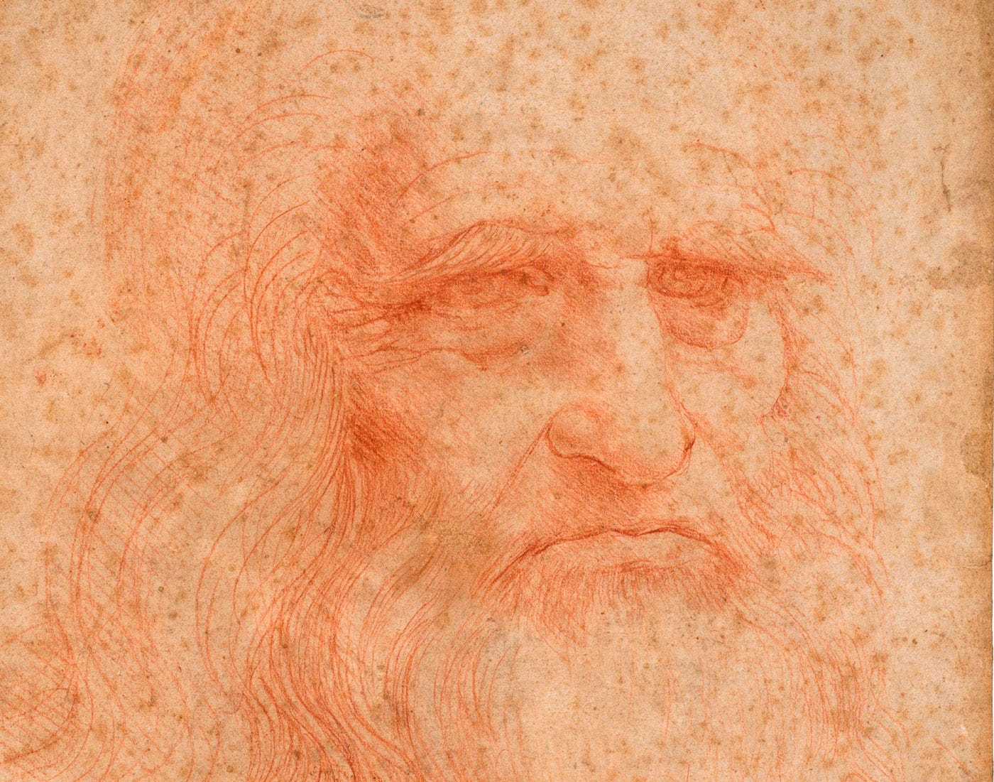 Leonardo da Vinci self portrait Leonardo da Vinci self portrait