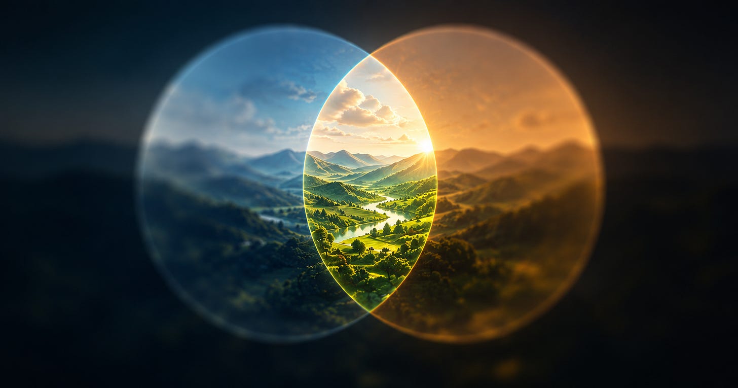 Abstract illustration of two overlapping translucent circles, one cool blue and one warm amber, floating over a darkened landscape. Most of the scene is deliberately soft and indistinct, but where the circles overlap a vibrant sunlit valley comes sharply into focus, with green hills, winding rivers and distant mountains rendered in rich detail. The image suggests that independent perspectives, when combined, reveal a clearer and more complete picture than either could alone.