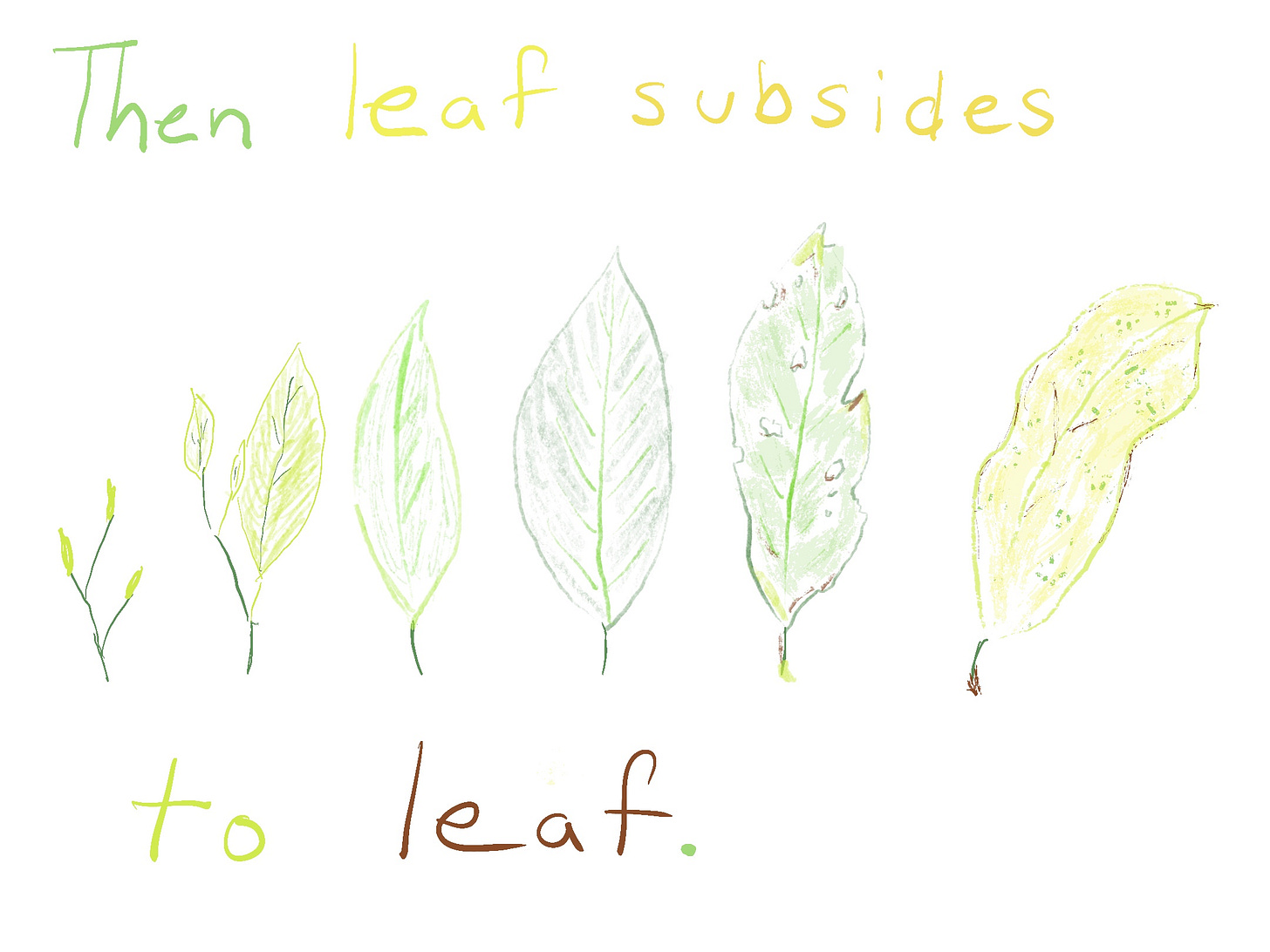 Leaves growing old