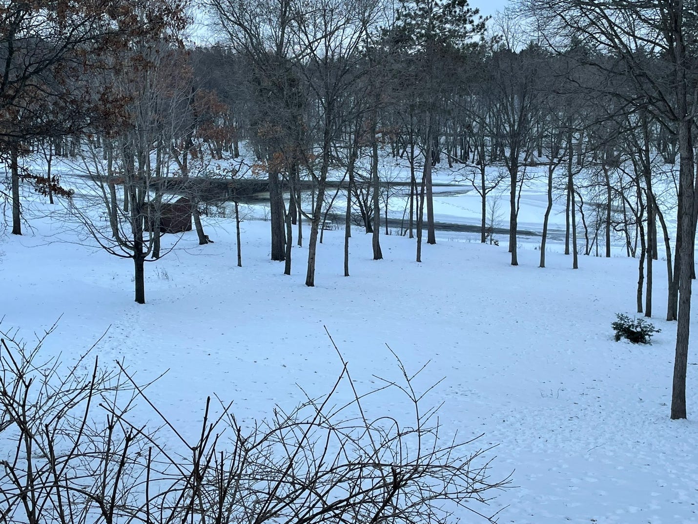 A snowy landscape with trees and a river

Description automatically generated