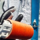 Anno 11, settimana 1