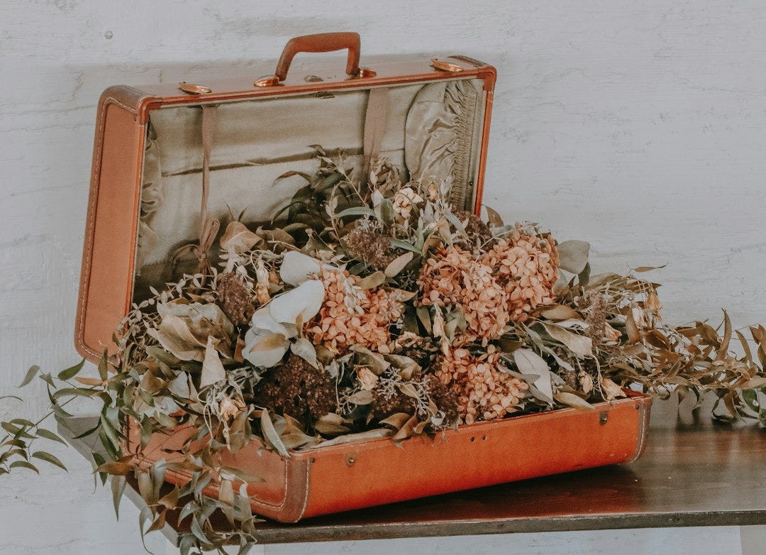 orange flowers on orange case