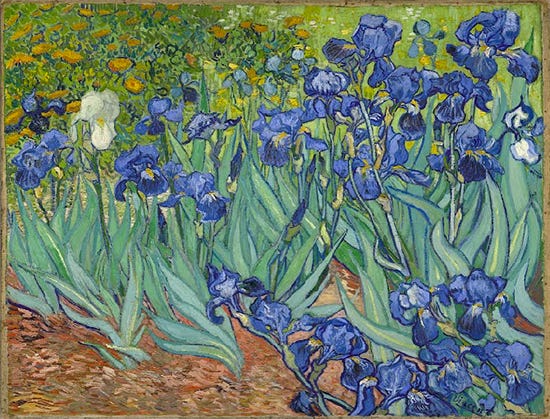 The Irises, 1889, Vincent van Gogh